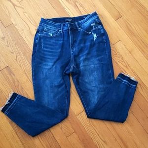 Judy Blue Skinny Jeans - Best fitting jeans ever!